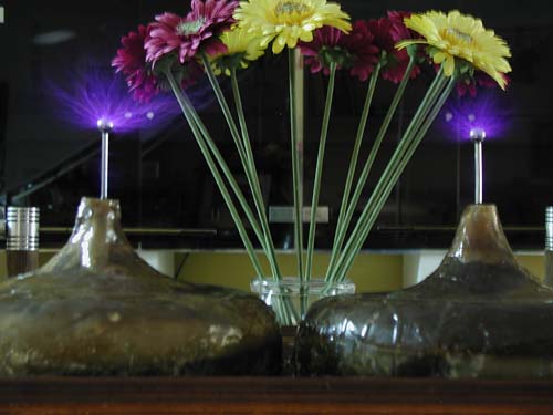 Low-Power_Daisies
