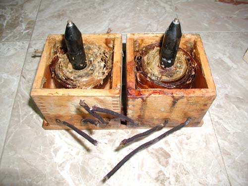 P1010003