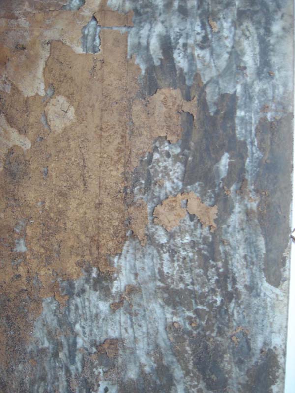 DSC01946