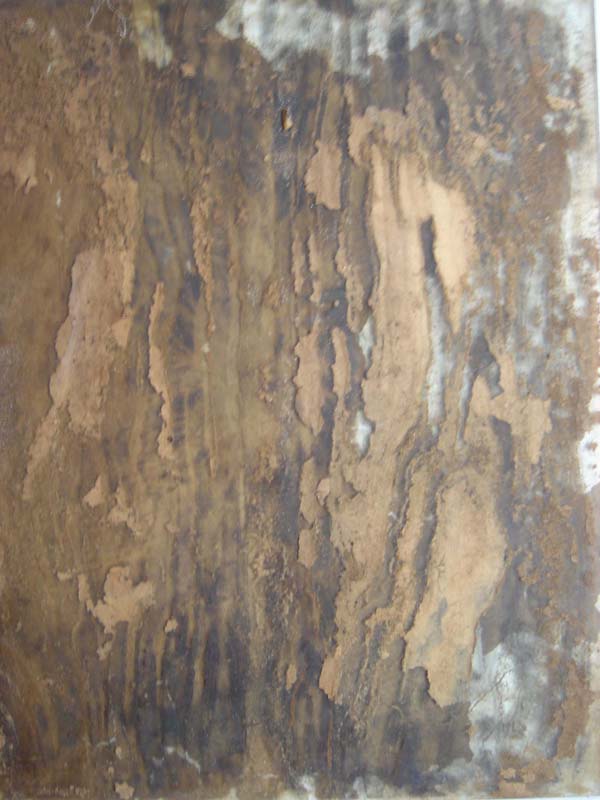 DSC01951