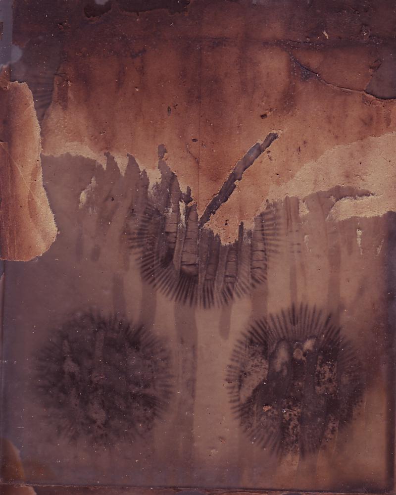 Damaged0027