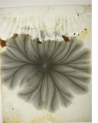 ContactSheet-094