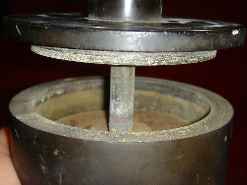 DSC03981