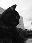 DSC08674