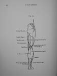 DSC01449