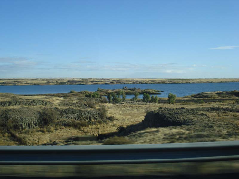 DSC02703