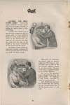 Campbell1917_Page_22