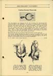 VictorRedBookofPhysicalTherapy_Page_020