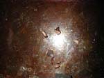 DSCN9972_resize