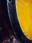DSC01846_760
