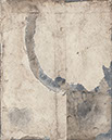 Kinraide_Damaged0172