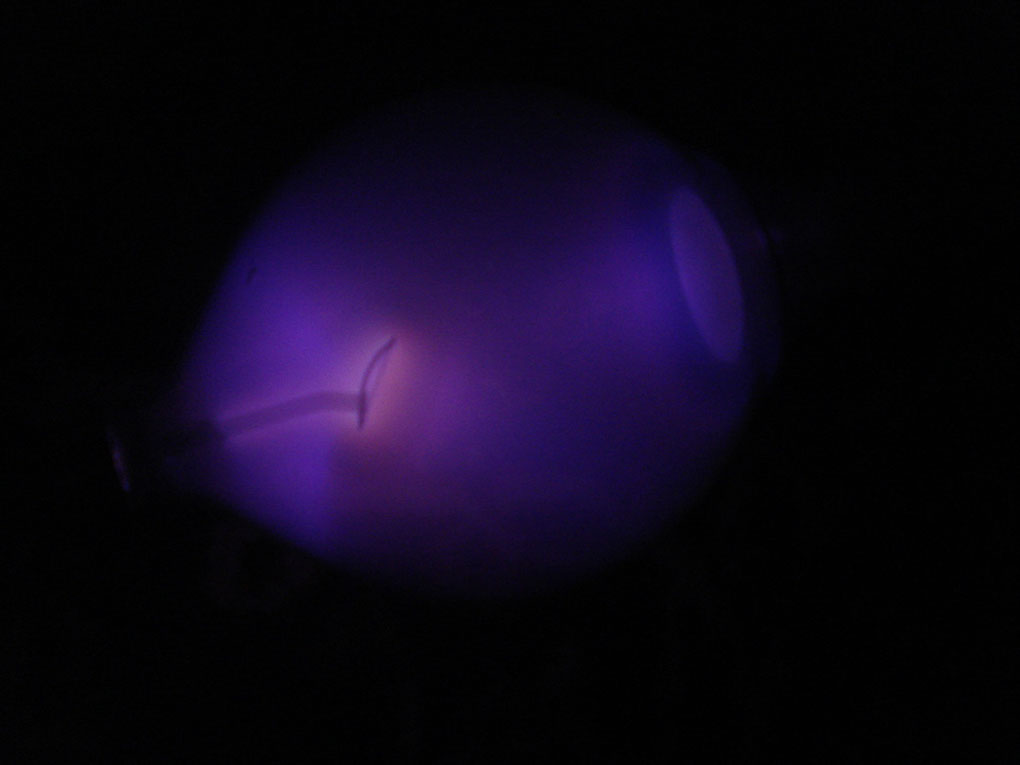 DSC05903