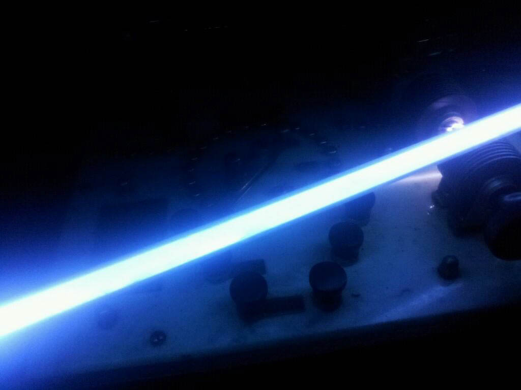 1493360_10201325719690444_219938826_o