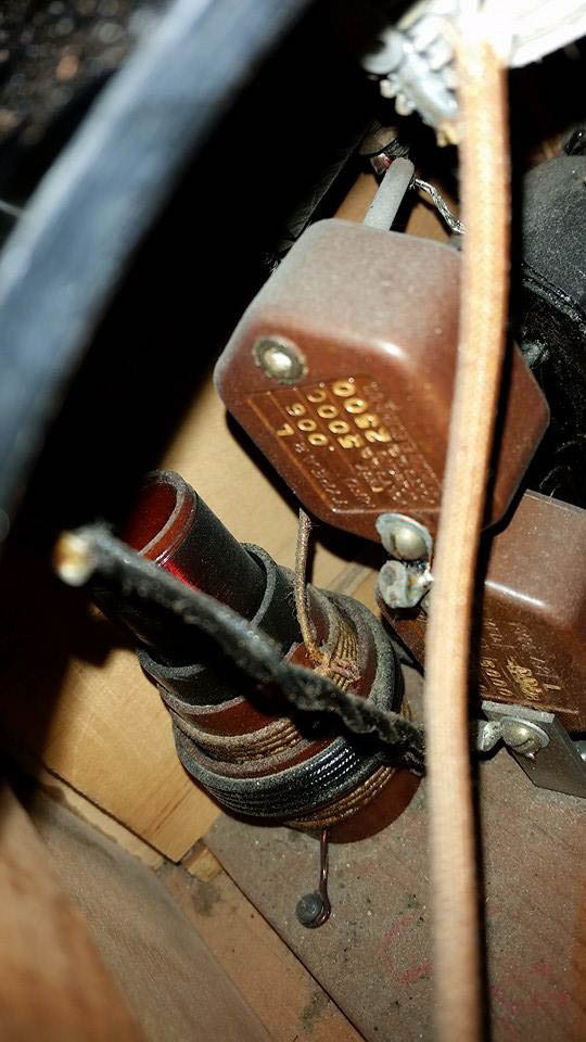 10689933_10203191122964360_9020733088690952519_n