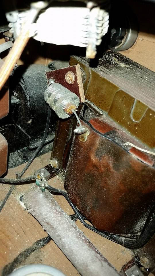 10665246_10203191122764355_1618128741987068968_n