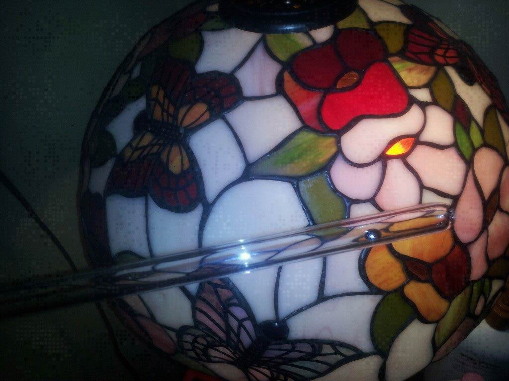 1039914_10201398229503144_1488468683_o