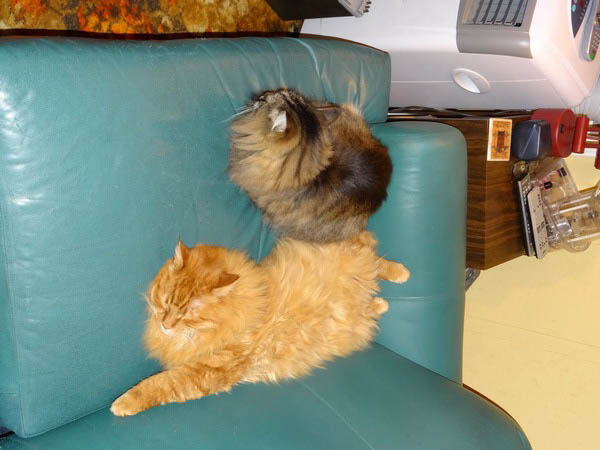 Inspectors Tired_resize