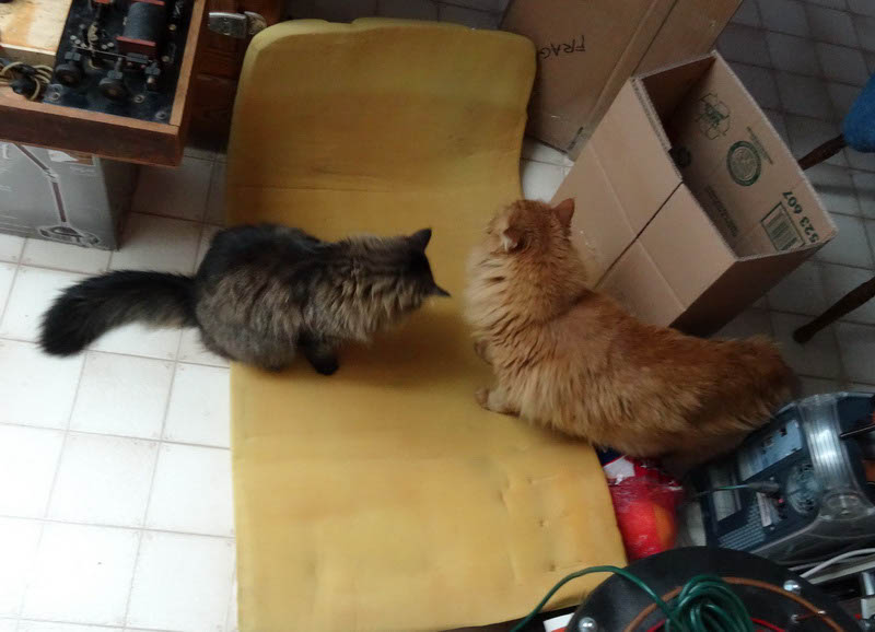 Unpacking Helpers 5_resize