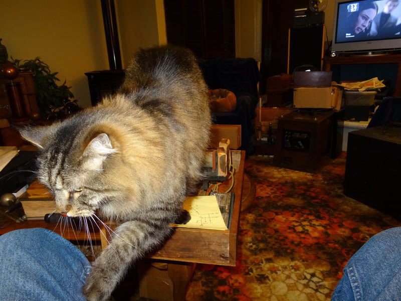 Final Inspection Done_resize