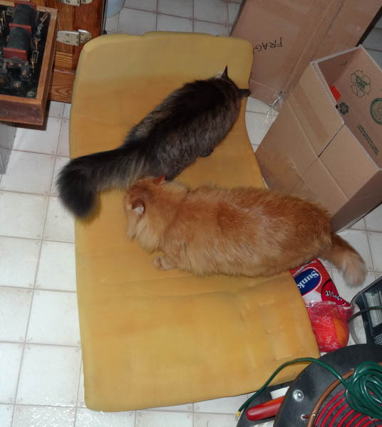 Unpacking Helpers 6_resize