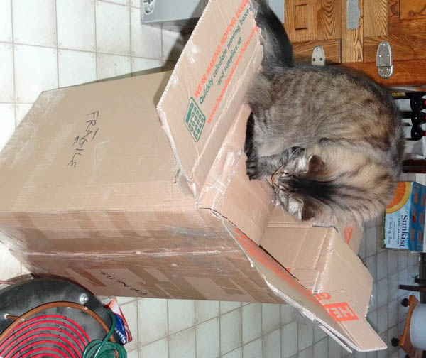 Unpacking Helper 3_resize