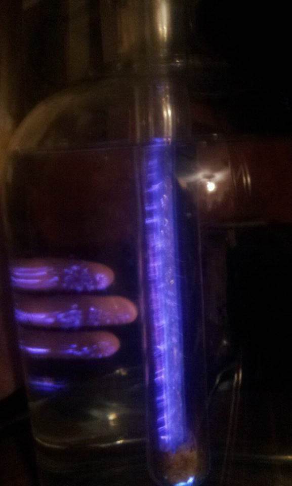 484802_10201409898394859_142399569_n