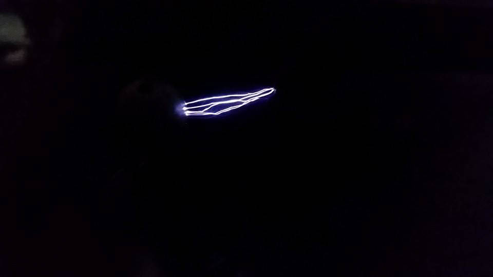 10492516_10202389847772981_6452384604543141126_n