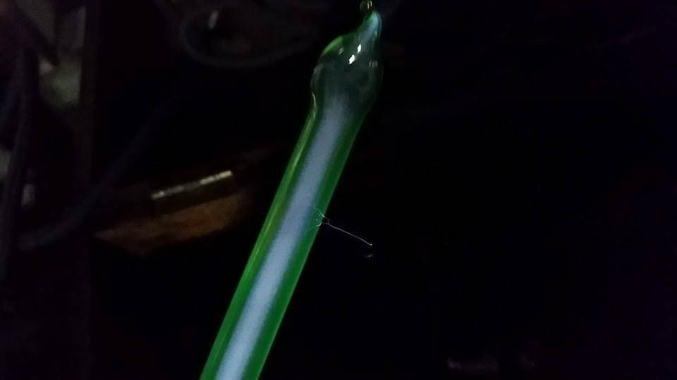 10006105_10202389846652953_6597591652350138918_n