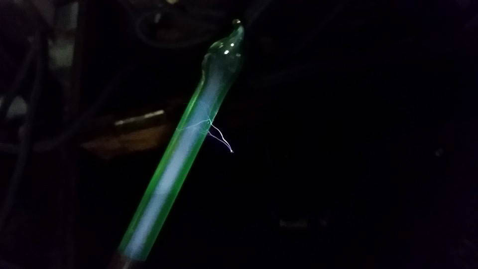 10513357_10202389847012962_9172067705266976624_n