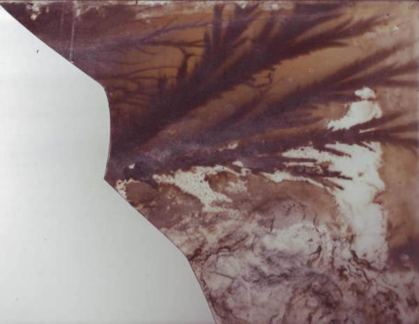 KinraideCoilDischarge1