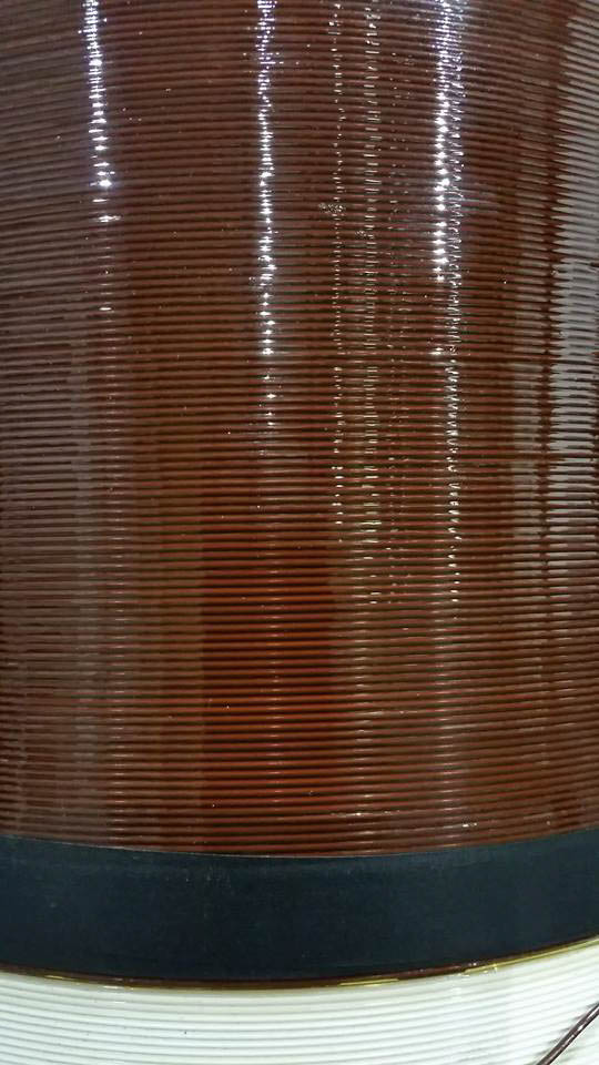 10906070_10203507576955512_835421793204550861_n