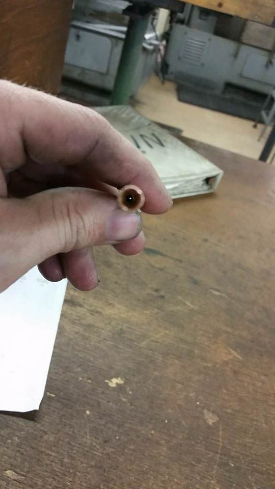 22003_952374778126907_6262566824277811509_n