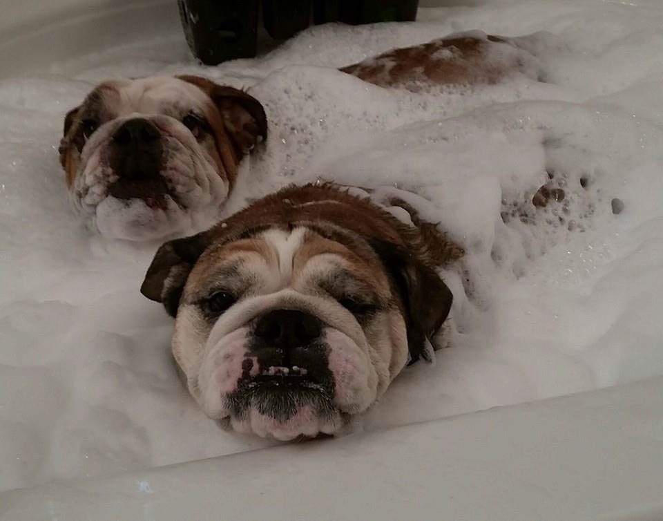 10881648_10203480035666997_5345129313724075625_n