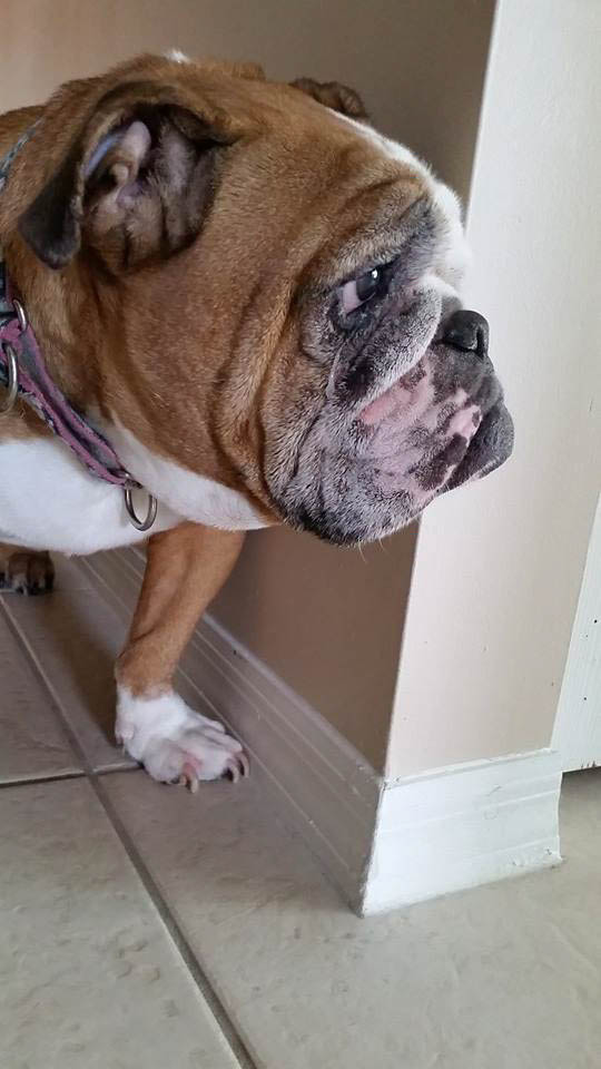 10300510_10203493393920945_5134160198853411063_n