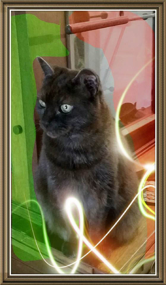 10427238_10203445021391662_474280139013915509_n