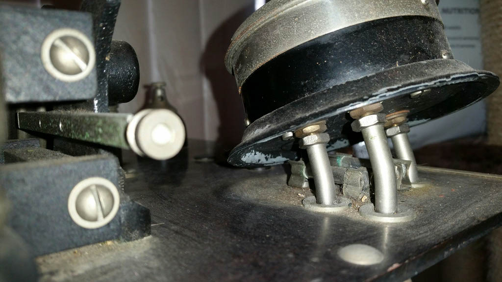 20150424_084708_resized_1