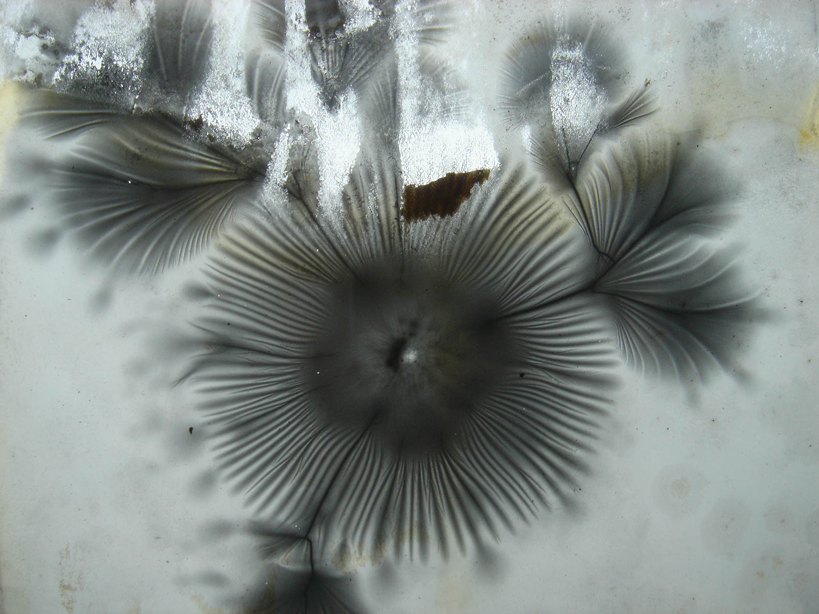 DSC01450