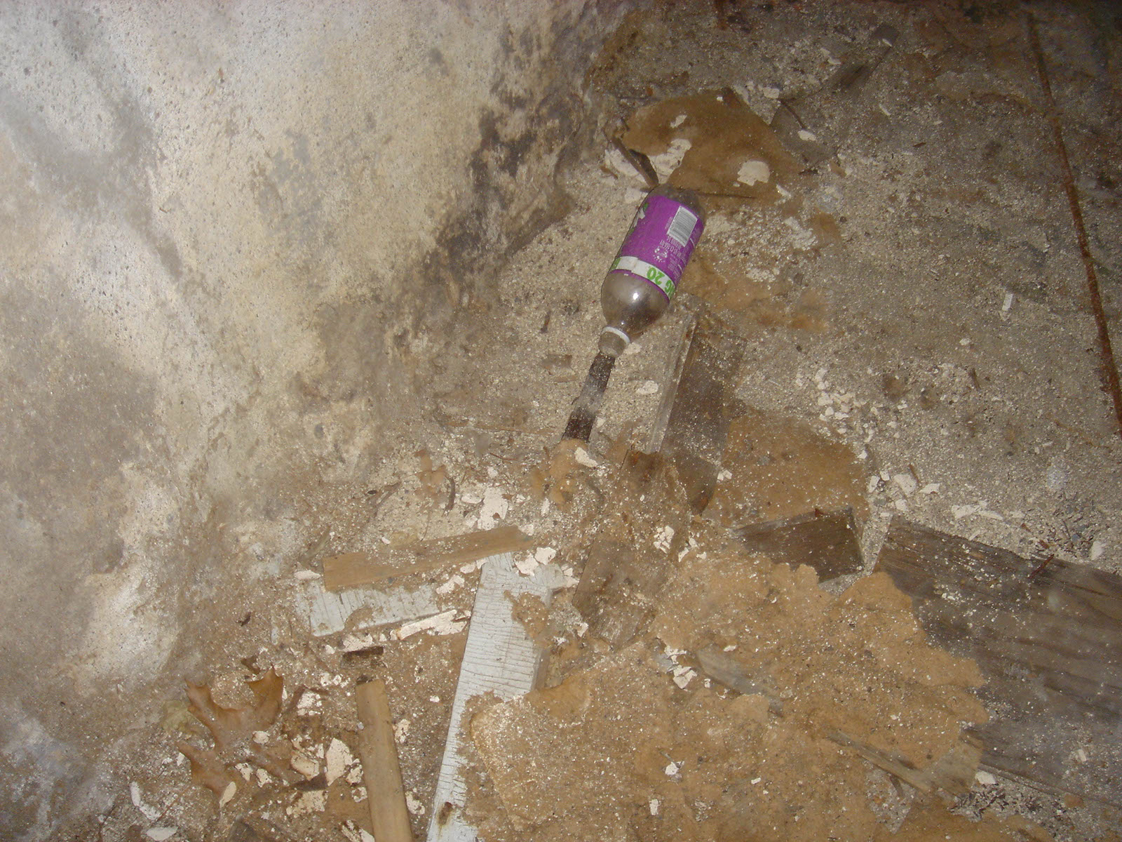 DSC01301