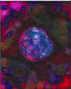 Cosmic4_Page_1.jpg (502788 bytes)