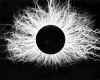 SolarFlares.jpg (191074 bytes)