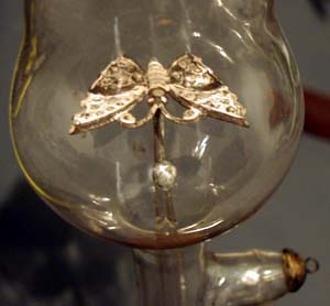 Crookes-Butterfly-2